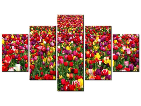 Obraz Tulipany  - Ian Sane, 5 elementów, 125x70 cm Oobrazy