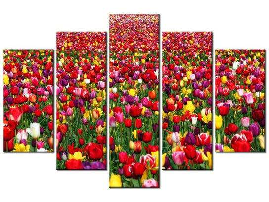 Obraz Tulipany  - Ian Sane, 5 elementów, 150x100 cm Oobrazy