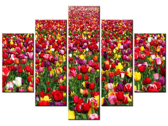 Obraz, Tulipany - Ian Sane, 5 elementów, 150x105 cm Oobrazy