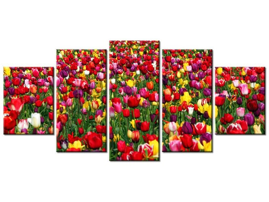 Obraz Tulipany  - Ian Sane, 5 elementów, 150x70 cm Oobrazy
