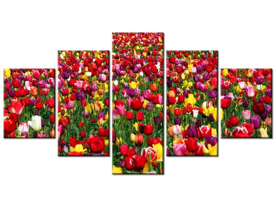 Obraz Tulipany  - Ian Sane, 5 elementów, 150x80 cm Oobrazy