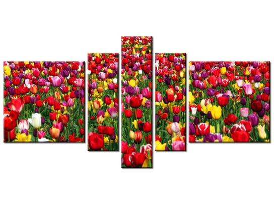 Obraz Tulipany  - Ian Sane, 5 elementów, 160x80 cm Oobrazy