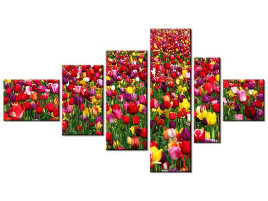 Obraz Tulipany - Ian Sane, 6 elementów, 180x100 cm Oobrazy