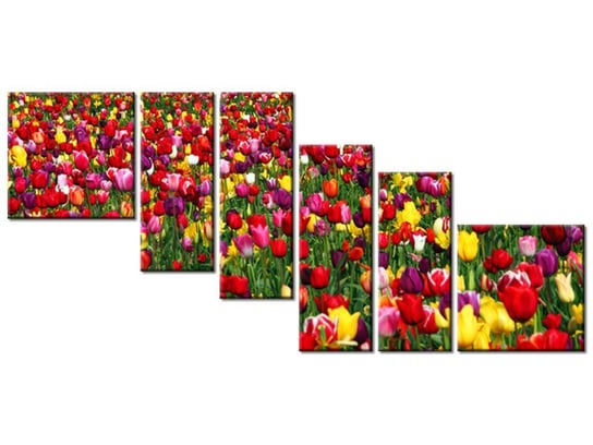 Obraz Tulipany - Ian Sane, 6 elementów, 220x100 cm Oobrazy