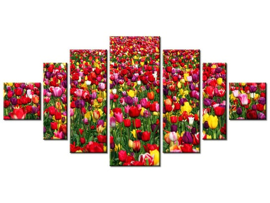 Obraz Tulipany - Ian Sane, 7 elementów, 200x100 cm Oobrazy
