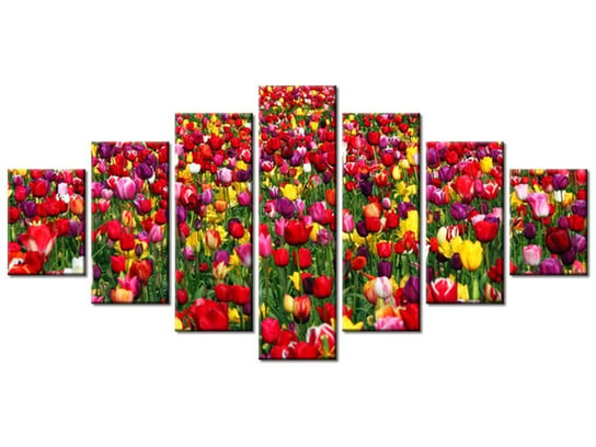 Obraz Tulipany - Ian Sane, 7 elementów, 210x100 cm Oobrazy
