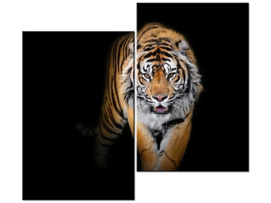 Obraz Tygrys, 2 elementy, 80x70 cm Oobrazy