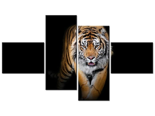 Obraz Tygrys, 4 elementy, 140x80 cm Oobrazy