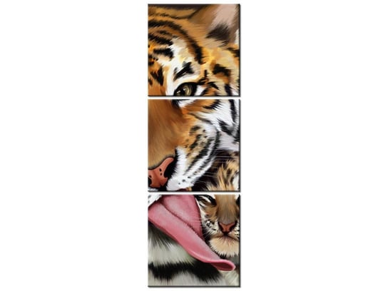 Obraz Tygrys i tygrysek, 3 elementy, 30x90 cm Oobrazy