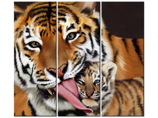 Obraz Tygrys i tygrysek, 3 elementy, 90x80 cm Oobrazy