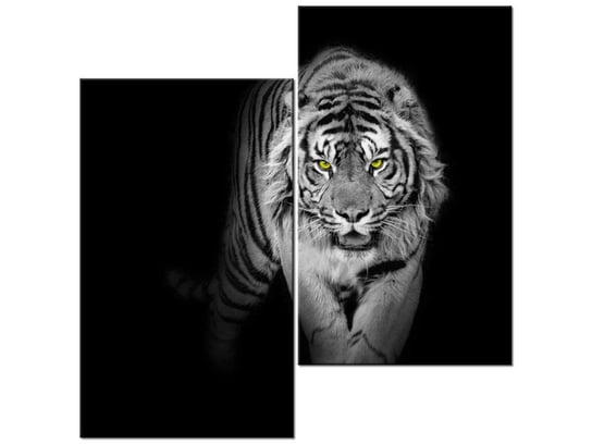 Obraz Tygrys w mroku, 2 elementy, 60x60 cm Oobrazy