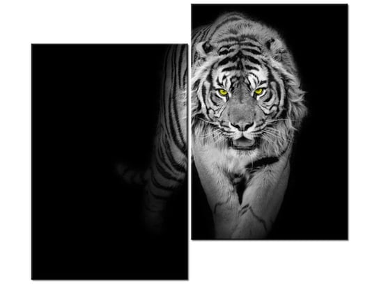 Obraz Tygrys w mroku, 2 elementy, 80x70 cm Oobrazy
