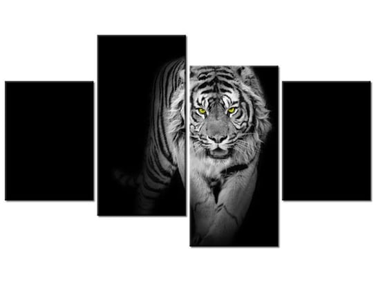 Obraz Tygrys w mroku, 4 elementy, 120x70 cm Oobrazy