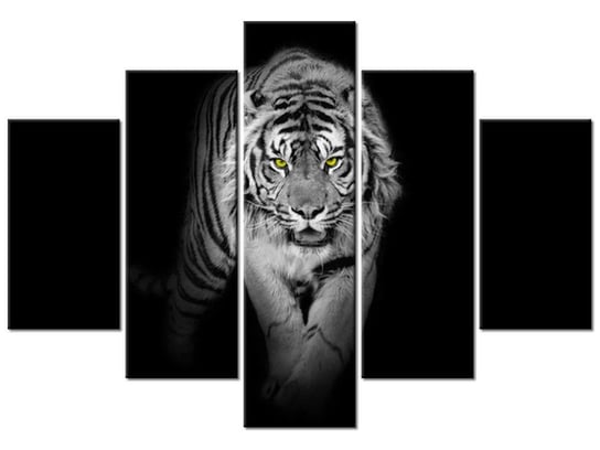 Obraz, Tygrys w mroku, 5 elementów, 150x105 cm Oobrazy