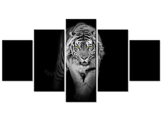 Obraz Tygrys w mroku, 5 elementów, 150x80 cm Oobrazy