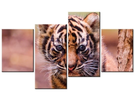 Obraz Tygrysek za drzewem - Tambako The Jaguar, 4 elementy, 120x70 cm Oobrazy
