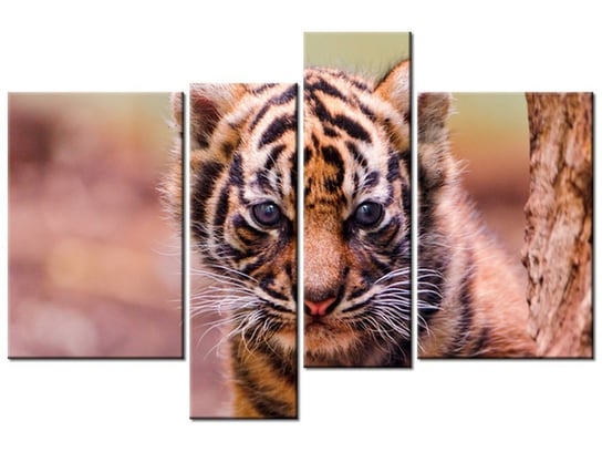 Obraz Tygrysek za drzewem - Tambako The Jaguar, 4 elementy, 130x85 cm Oobrazy