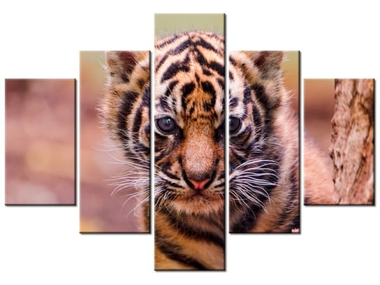 Obraz Tygrysek za drzewem - Tambako The Jaguar, 5 elementów, 100x70 cm Oobrazy
