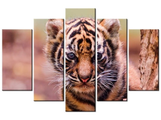 Obraz Tygrysek za drzewem - Tambako The Jaguar, 5 elementów, 150x100 cm Oobrazy