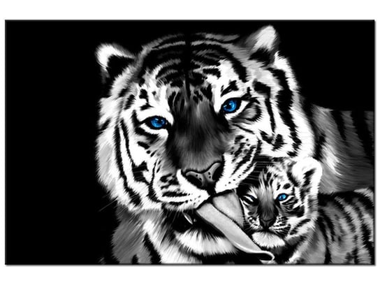 Obraz, Tygrysy, 120x80 cm Oobrazy
