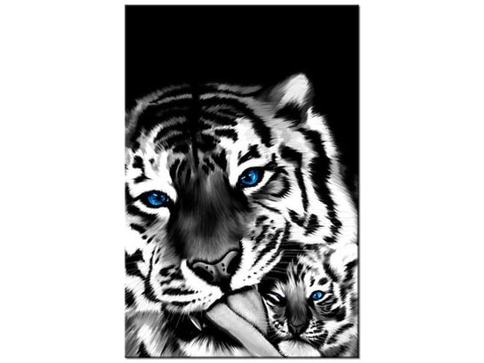 Obraz Tygrysy, 20x30 cm Oobrazy