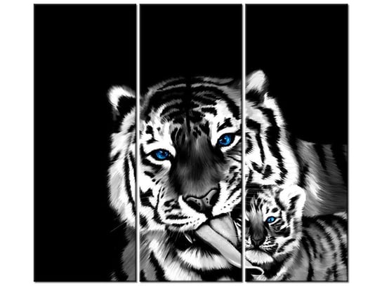 Obraz Tygrysy, 3 elementy, 90x80 cm Oobrazy