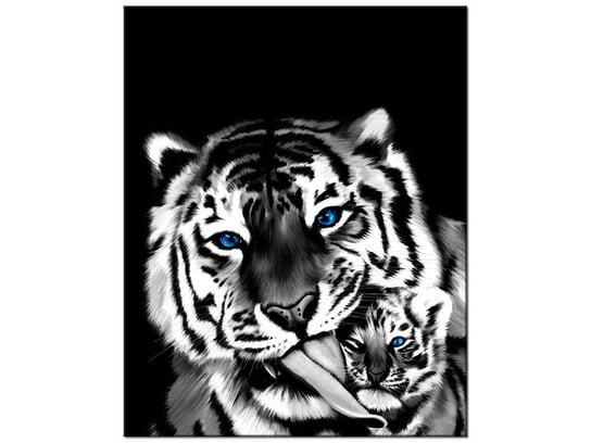 Obraz Tygrysy, 60x75 cm Oobrazy