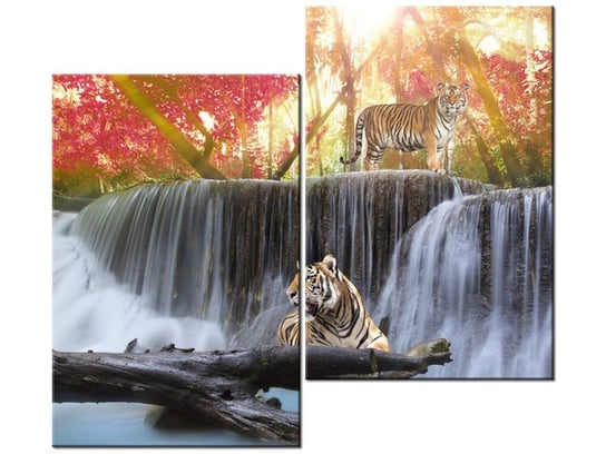 Obraz Tygrysy przy wodospadzie, 2 elementy, 80x70 cm Oobrazy