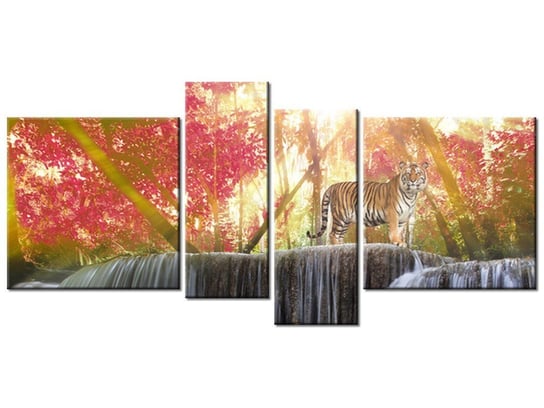 Obraz Tygrysy przy wodospadzie, 4 elementy, 120x55 cm Oobrazy