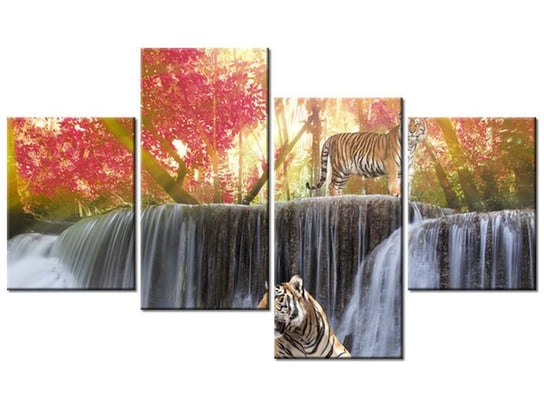 Obraz Tygrysy przy wodospadzie, 4 elementy, 120x70 cm Oobrazy