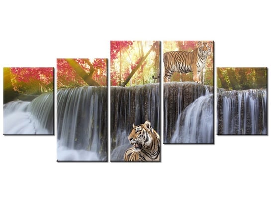 Obraz Tygrysy przy wodospadzie, 5 elementów, 150x70 cm Oobrazy