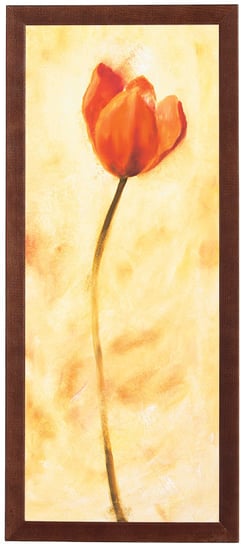 Obraz w drewnianej ramie, 20x50 cm- Czerwony tulipan, Anna Korecka POSTERGALERIA