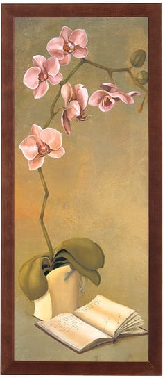 Obraz w drewnianej ramie, 20x50 cm- Różowy storczyk, Maria Mazurkiewicz POSTERGALERIA