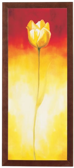 Obraz w drewnianej ramie, 20x50 cm- Tulipan, Anna Korecka POSTERGALERIA