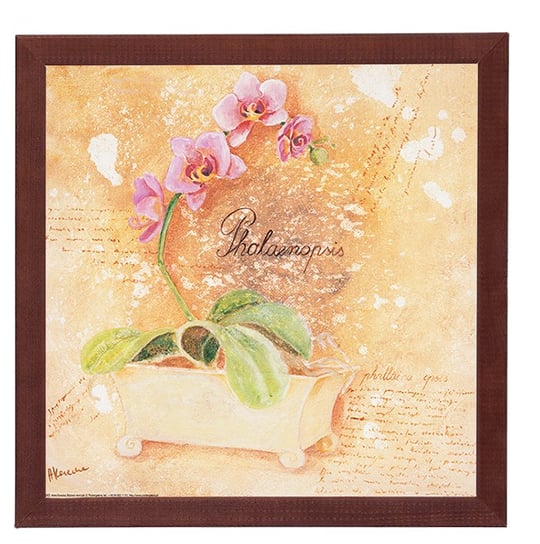 Obraz w drewnianej ramie, 30x30 cm- Różowy storczyk, Anna Korecka POSTERGALERIA