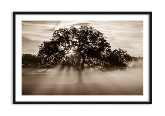 Obraz w ramie ARTTOR Drzewo wiadomości samego dobrego - drzewo światło cień, F1BAA120x80-3811, 120x80 cm ARTTOR