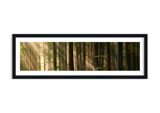 Obraz w ramie ARTTOR Rozpromieniony w wiosenny poranek - las drzewa chrust, F1BAB90x30-3628, 90x30 cm ARTTOR