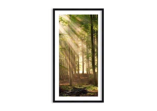 Obraz w ramie ARTTOR Rozpromieniony w wiosenny poranek - las drzewa chrust , F1BPA65x120-3628, 65x120 cm ARTTOR