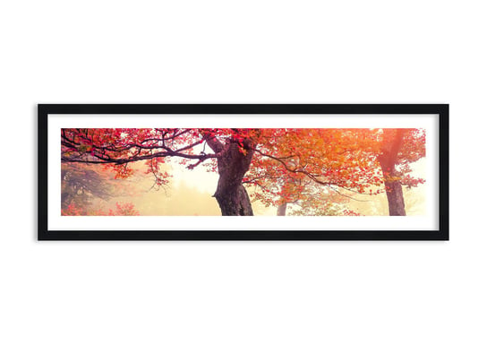 Obraz w ramie ARTTOR Szał rozkwitu - drzewa mgła barwa, F1BAB90x30-3658, 90x30 cm ARTTOR