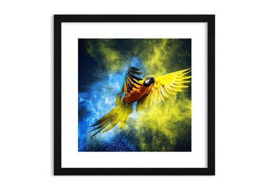 Obraz w ramie ARTTOR W błękitno-złotym pyle - papuga skrzydła, F1BAC50x50-3666, 50x50 cm ARTTOR