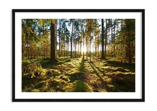 Obraz w ramie ARTTOR …Za siedmioma lasami - las zieleń drzewa, F1BAA100x70-3724, 100x70 cm ARTTOR