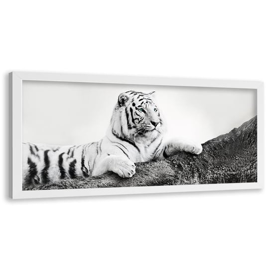 Obraz w ramie białej FEEBY, Afryka Tygrys Zwierzęta 120x40 Feeby