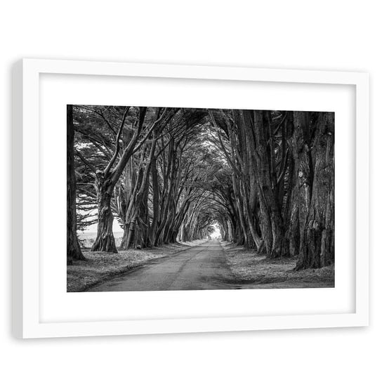 Obraz w ramie białej FEEBY, Aleja Drzew w PARKU czarno biały 90x60 Feeby
