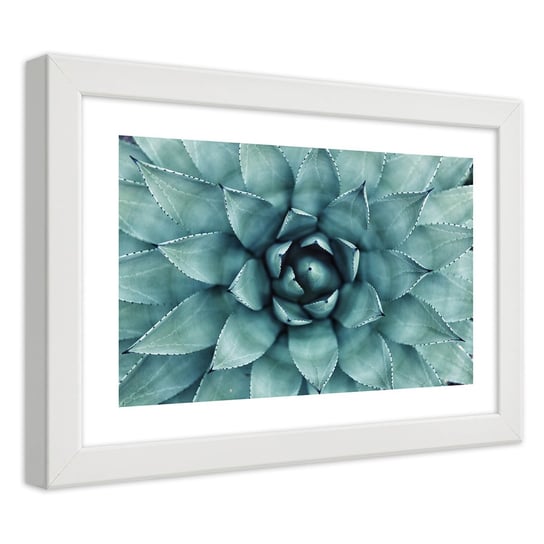 Obraz w ramie białej FEEBY, Aloes Roślina Kwiat 45x30 Feeby