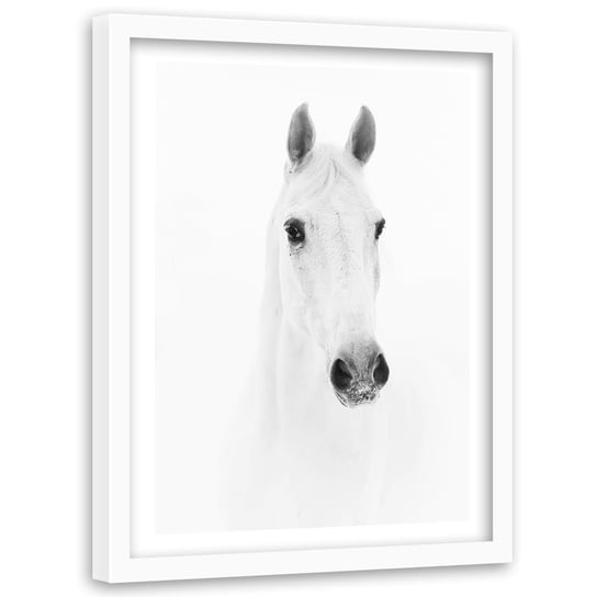 Obraz w ramie białej FEEBY, Biały Koń Zwierzęta Natura 60x90 Feeby