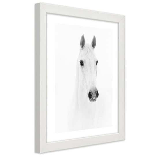 Obraz w ramie białej FEEBY, Biały Koń Zwierzęta Natura 70x100 Feeby