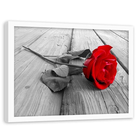 Obraz w ramie białej FEEBY, Czerwona Róża na Deskach 120x80 Feeby