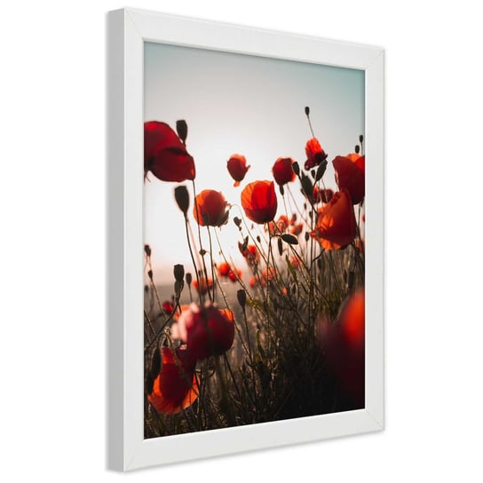 Obraz w ramie białej FEEBY, Czerwone Maki Polne Kwiaty 20x30 Feeby