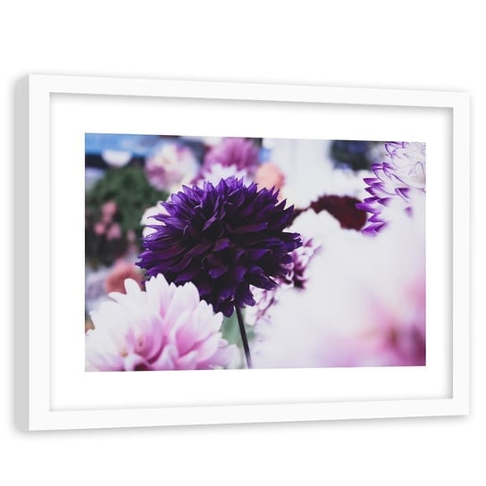 Obraz w ramie białej FEEBY, Dalia Kwiat Fioletowy 60x40 Feeby