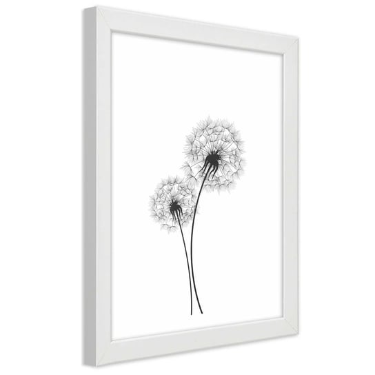 Obraz w ramie białej FEEBY, Dmuchawiec Kwiat Natura 20x30 Feeby